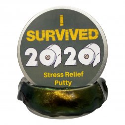 I Survived 2020 Stress Putty