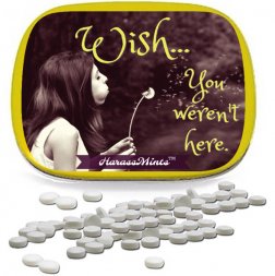 Wish You Weren't Here Mints
