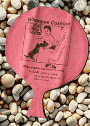 Whoopee Cushion Prank  Whoopee Cushion Prank