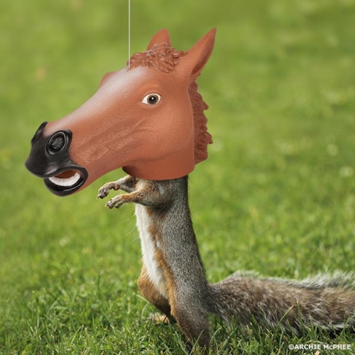Horse Head Squirrel Feeder