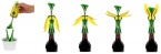 Tulip Corkscrew