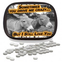 You Drive Me Crazy But I Still Love You Mints