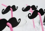 Stache Straws