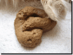 Fake Dog Poop