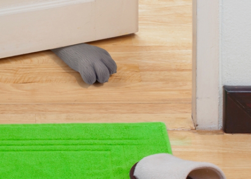 Here Kitty Kitty Paw Door Stopper