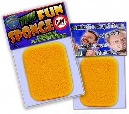 The Fun Sponge  The Fun Sponge
