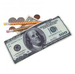 Hundred Dollar Bill Coin Purse  Hundred Dollar Bill Coin Purse