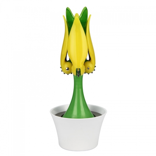 Tulip Corkscrew