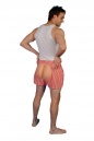 Mooning Boxers (Bum Shorts)