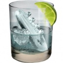 Gin and Titonic Ice Tray