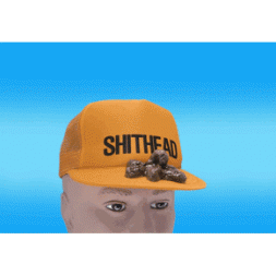 Sh*t Head Poop Hat  Sh*t Head Poop Hat