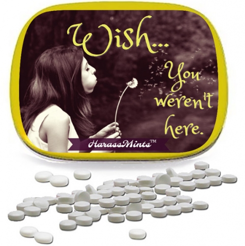 Wish You Weren't Here Mints