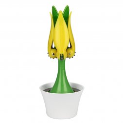 Tulip Corkscrew
