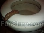 Fake Human Poop