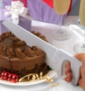 Table Saw Cake Knife