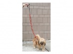 Hot Dog Sausage Link Leash