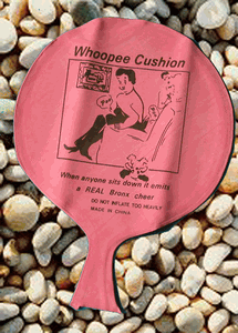 Poop Whoopie Cushion - New