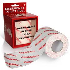Emergency Toilet Paper Roll