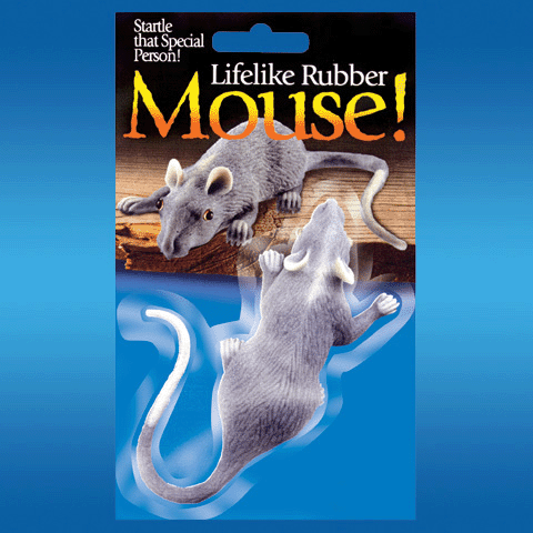 Fake Rubber Mouse